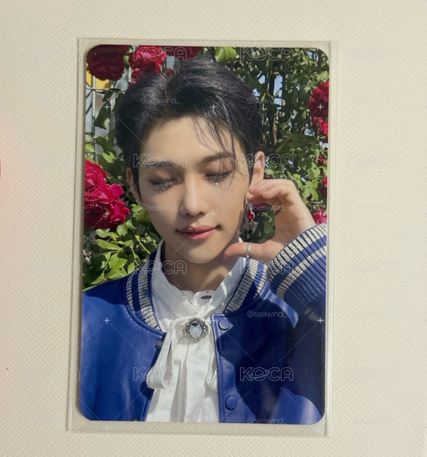 睡美人菲🌹