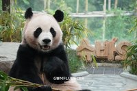 美熊