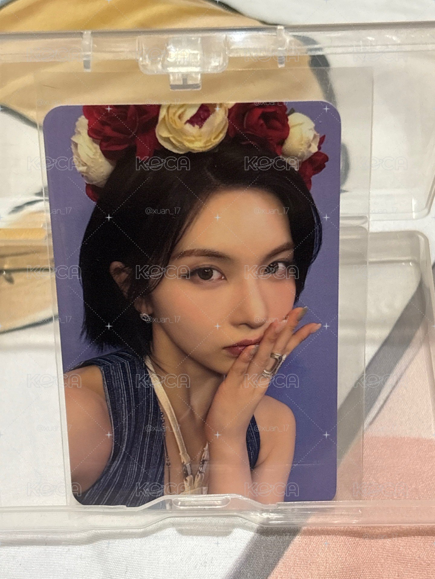 小夜曲 ms 線上 1.0 簽售卡 玫瑰花環