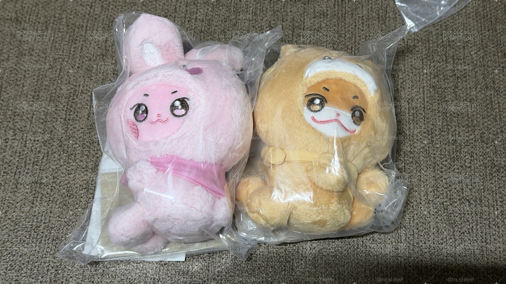 頭套娃星+中 未拆含卡 現貨