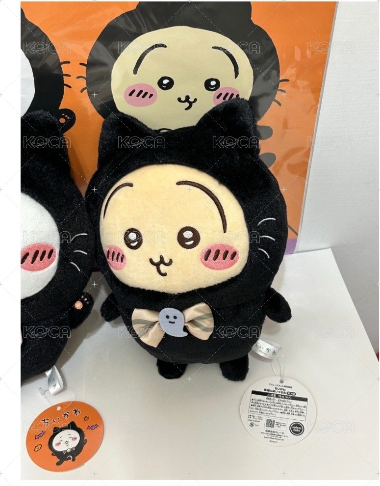 黑貓兔兔