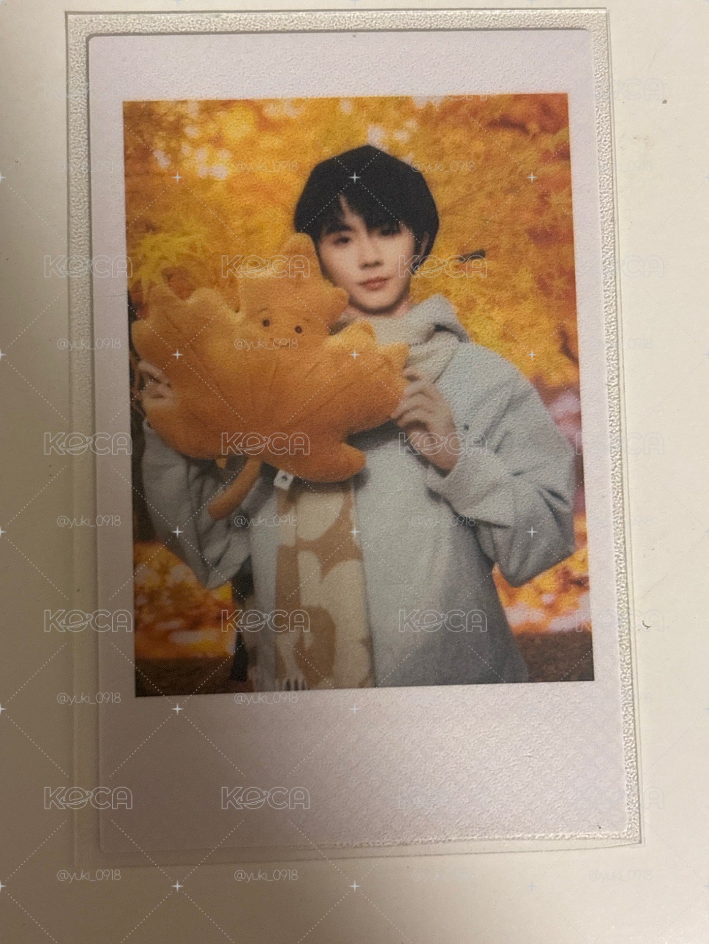 小馬 秋日記憶 拍立得 💜
