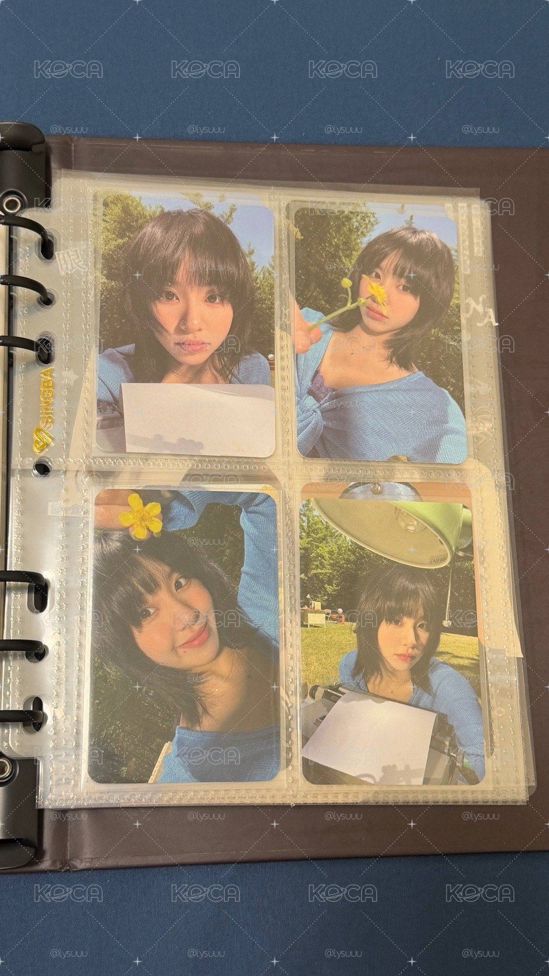 彩小盤