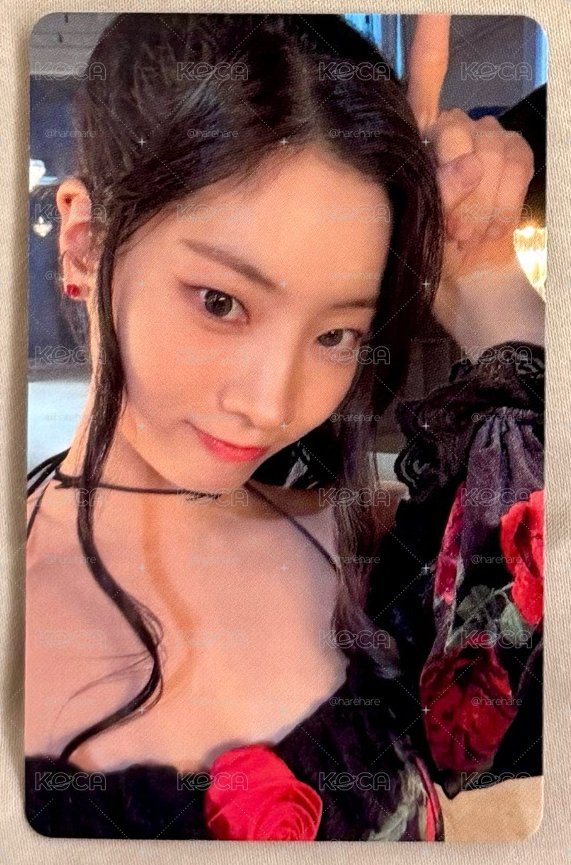 多賢 迷13 JYP特典