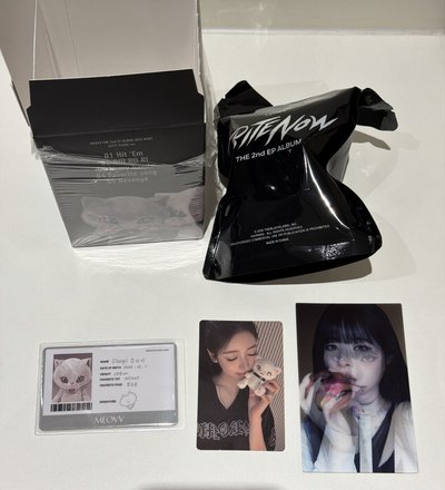 娃專確認款 未拆封(Sooin/Anna/隱藏)