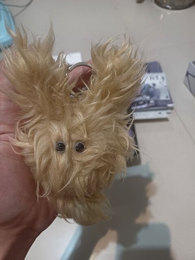 裴水母專