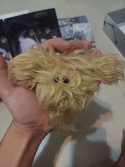 裴水母專
