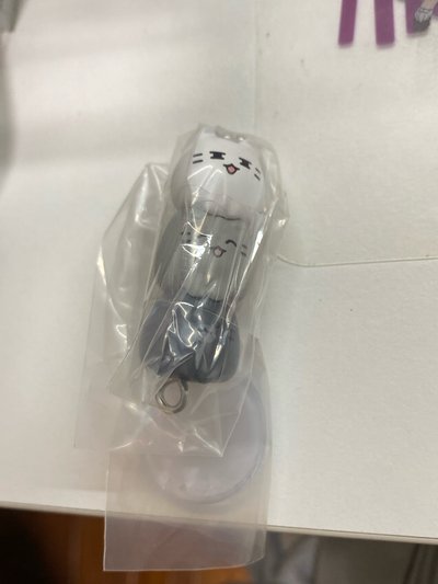 Miniteen 扭蛋 吊飾 俊