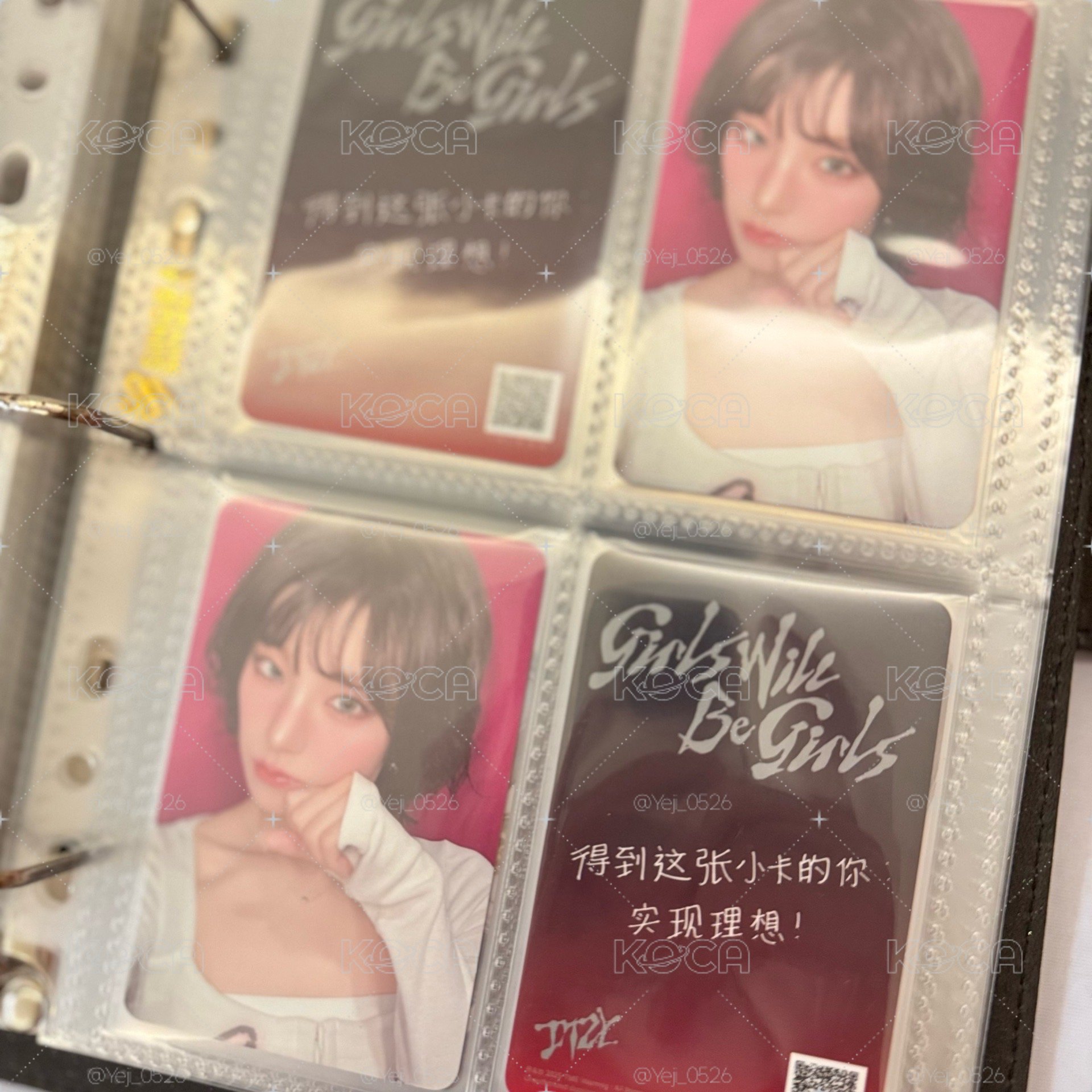 貓貓拳志(標價一張)