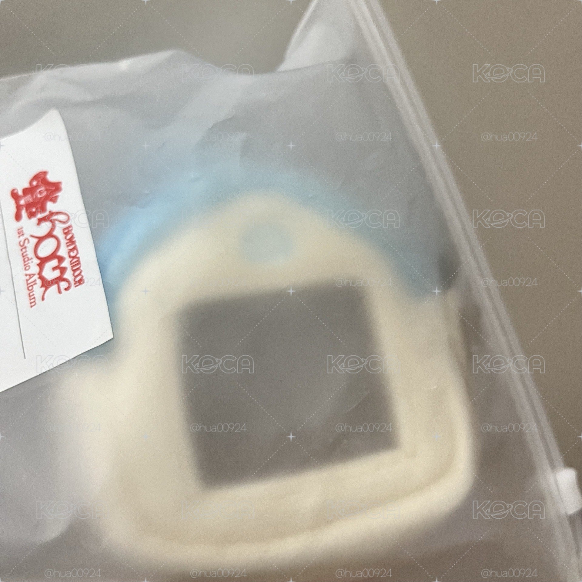 現貨速出-BOYNEXYDOOR房子娃包