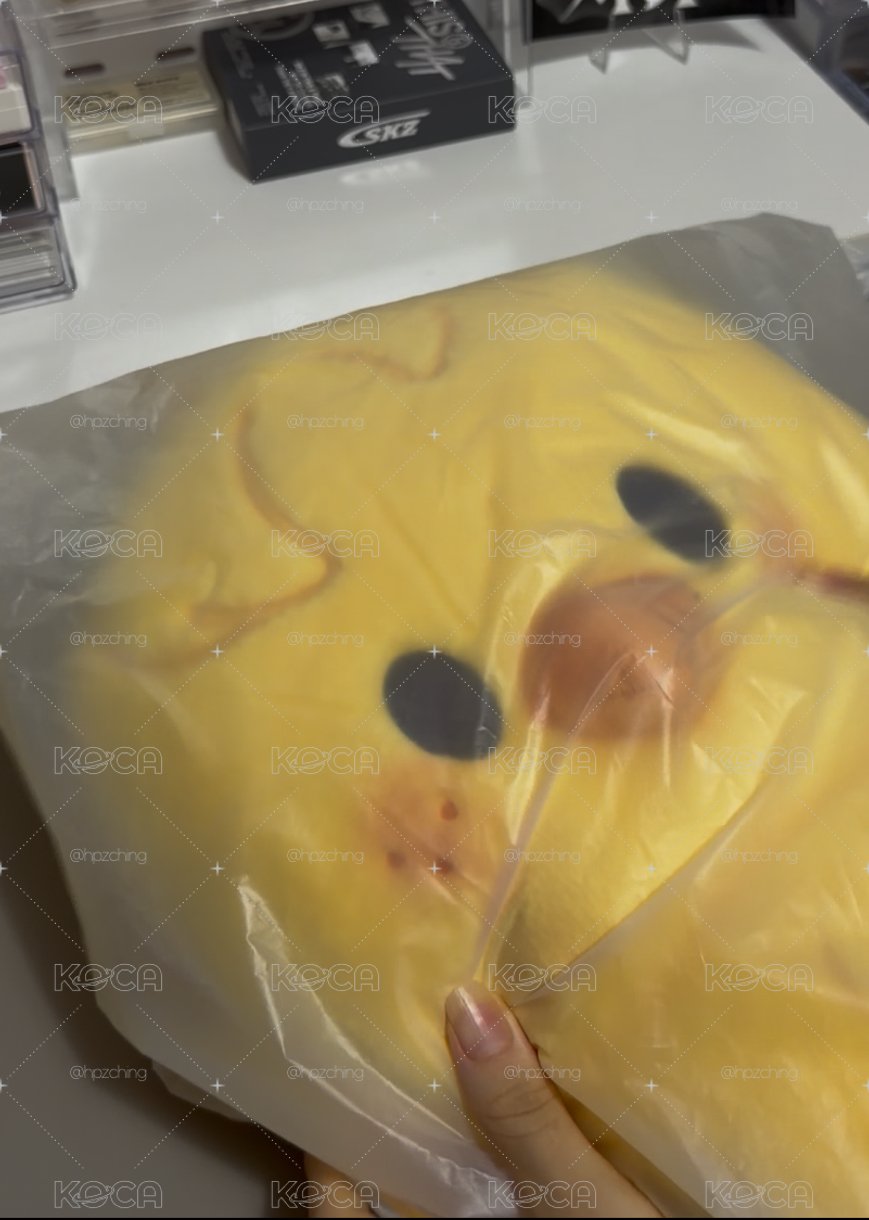 後背全新未拆