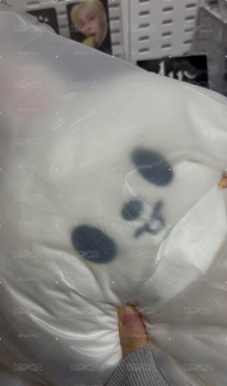 後背全新未拆