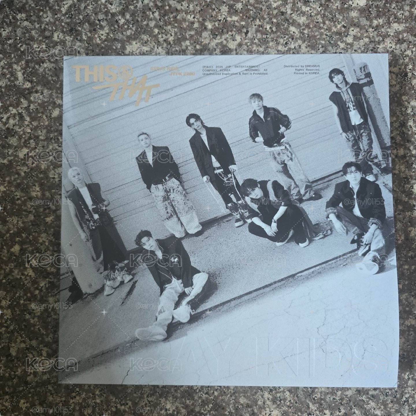 stray kids This&That LP ver黑膠版