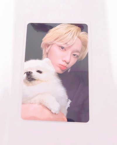 Sungho可愛狗狗特典卡🐶