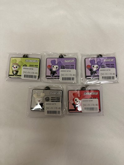 新國立 線上一番賞 鑰匙圈吊飾