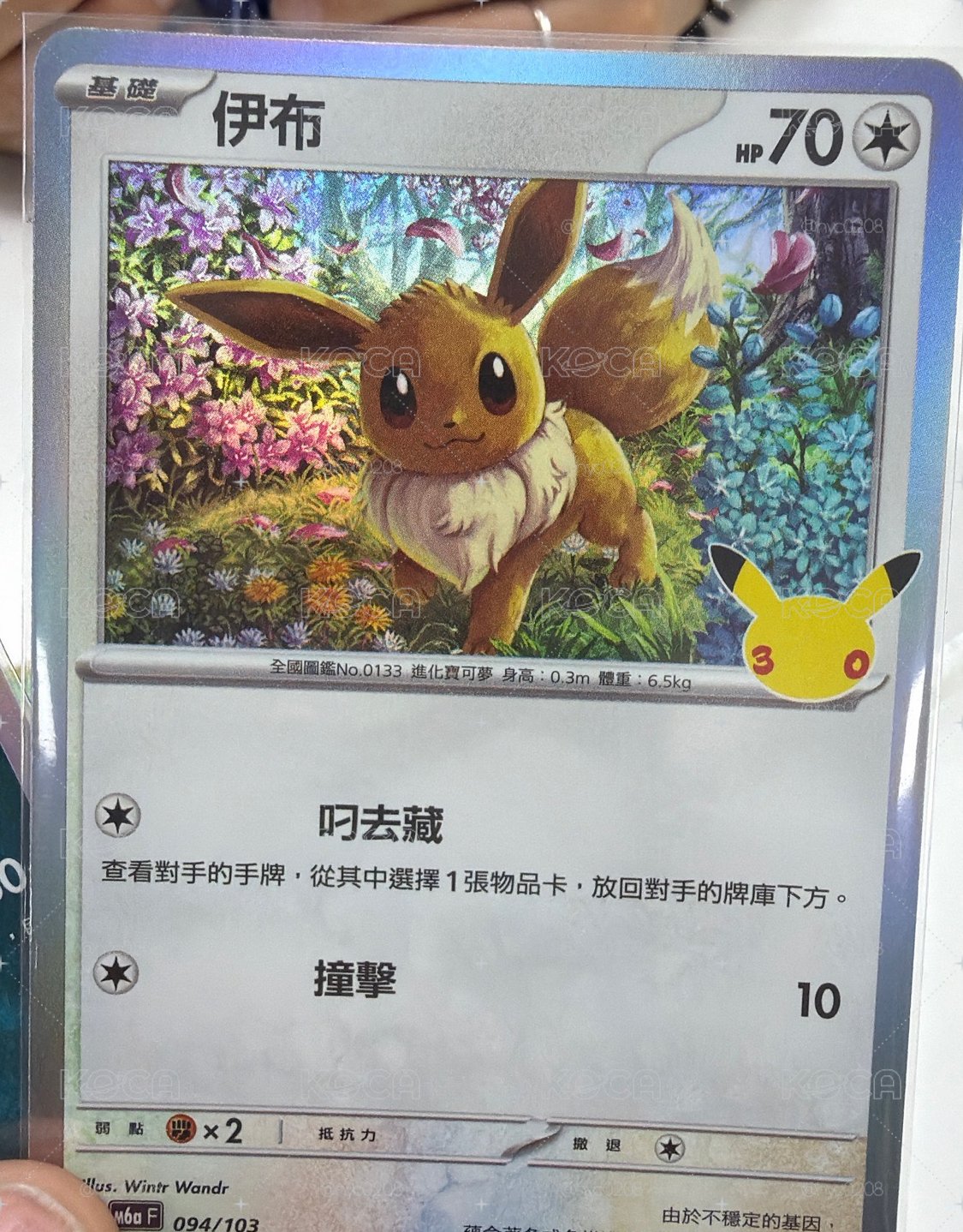 伊布