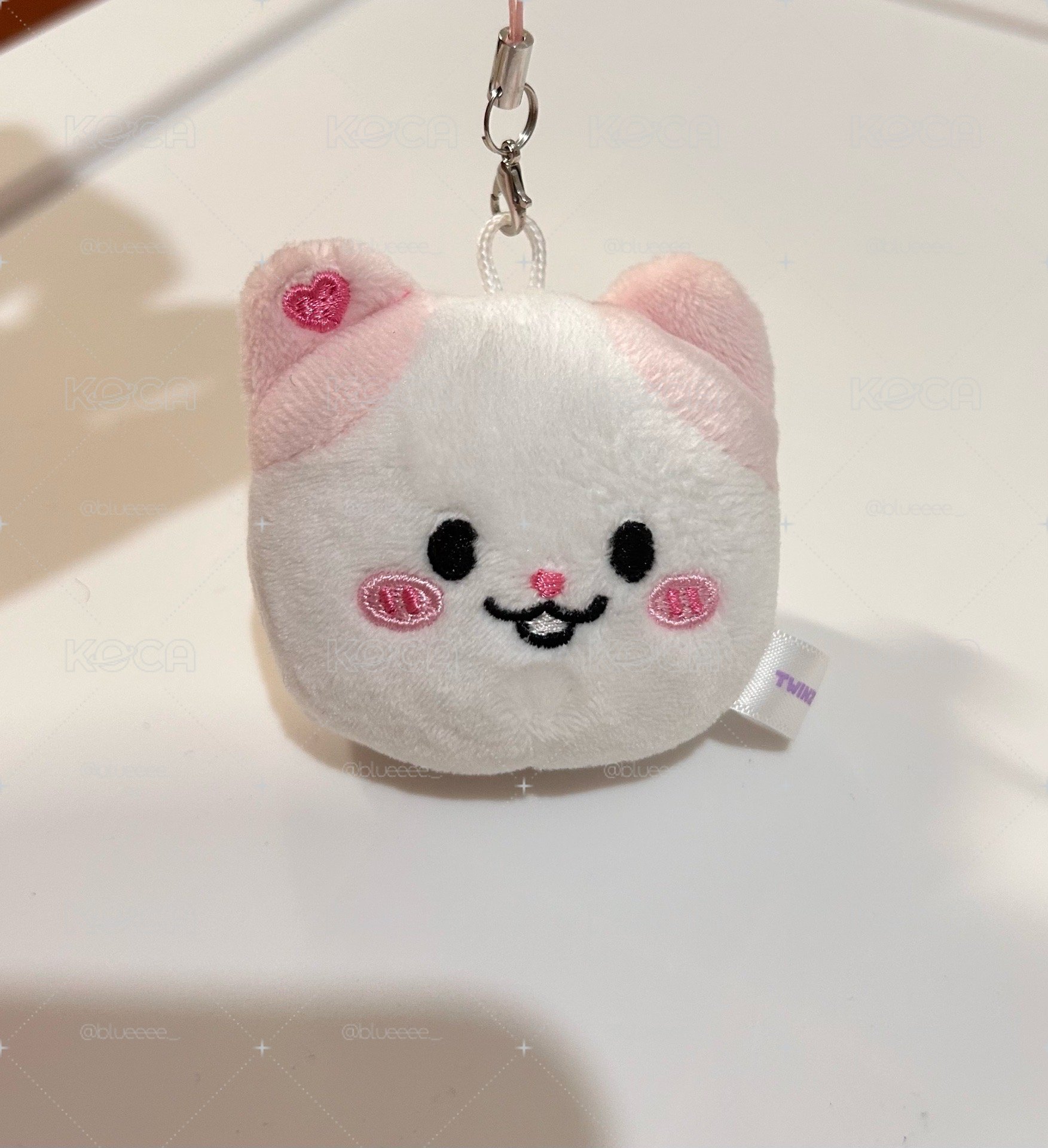 原皮娜