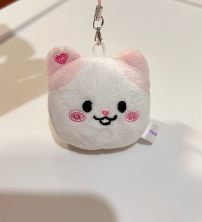 原皮娜