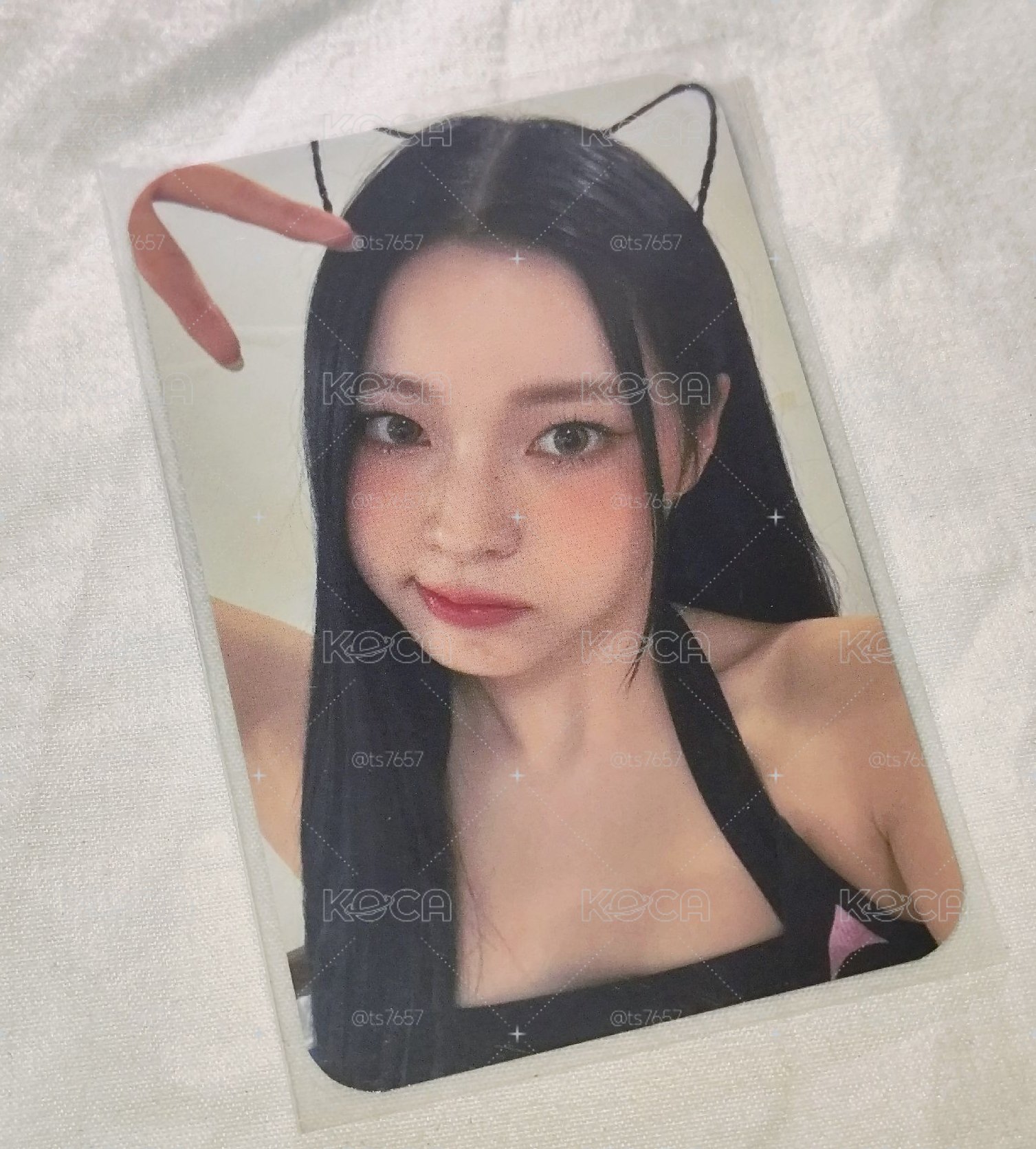 NMIXX - 貓耳圭🐱