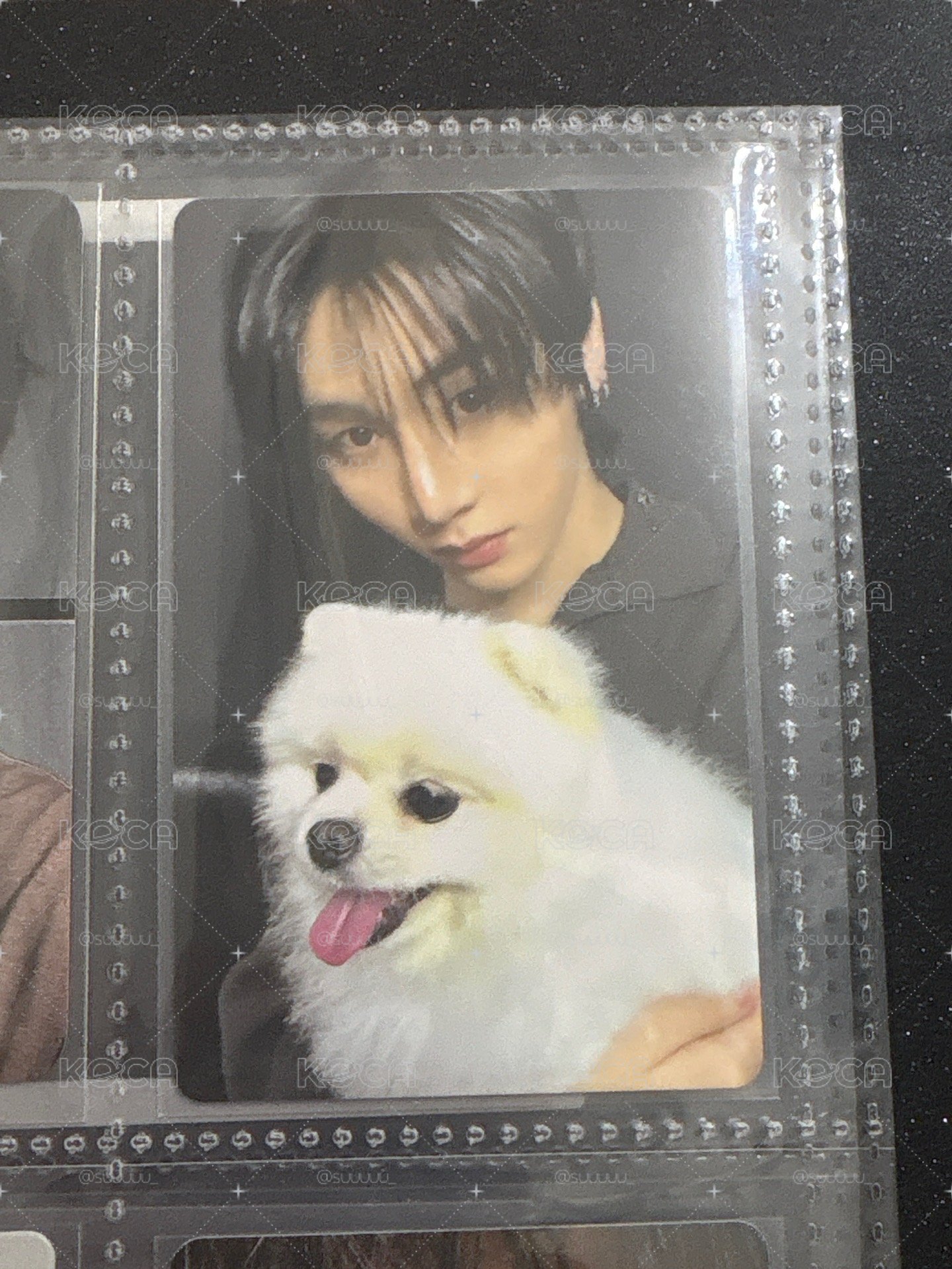 大山小狗