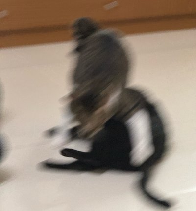勿下