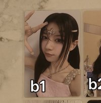 b1