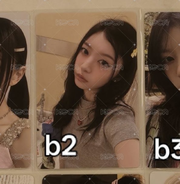 b2