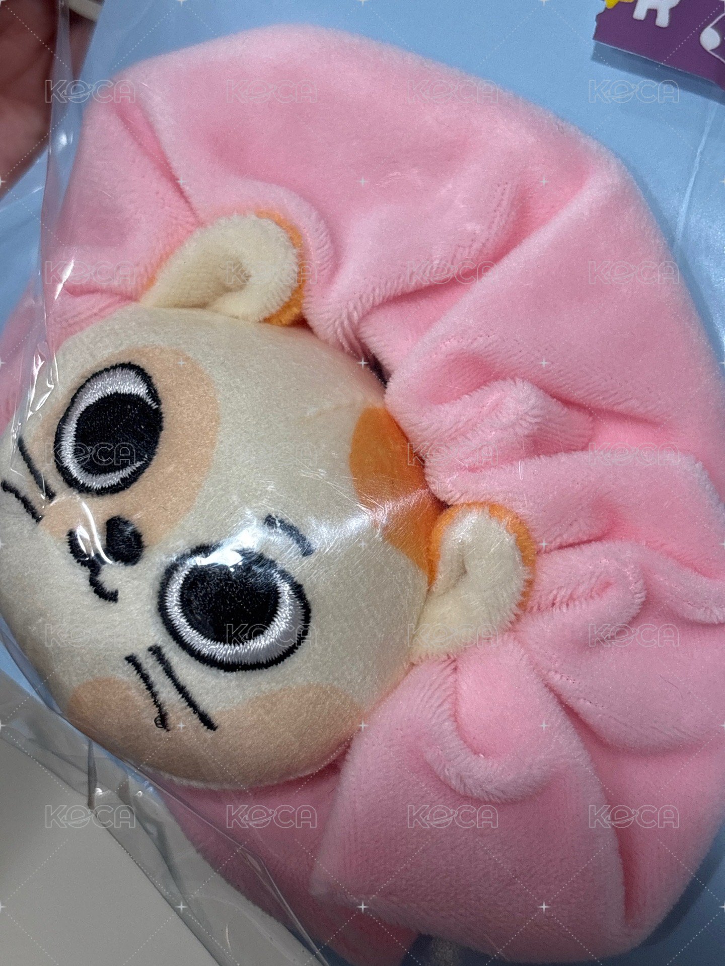 貓比髮圈