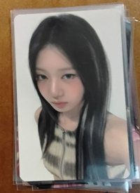 茶