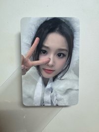 🐤薛