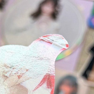 QWER 小卡/CD/貼紙 想收藏湊套的歡迎購買