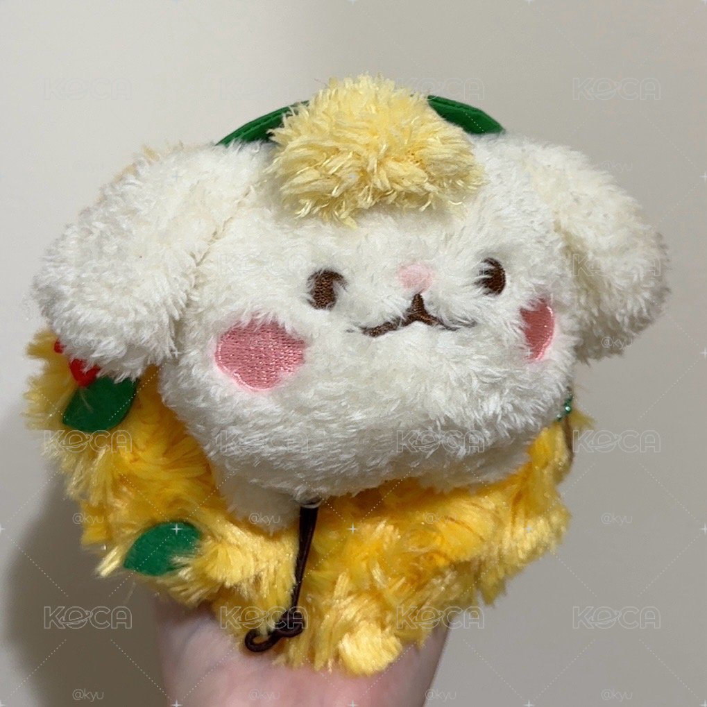 CRAVITY 秋季娃-🐤/🐶/🍋（含卡）