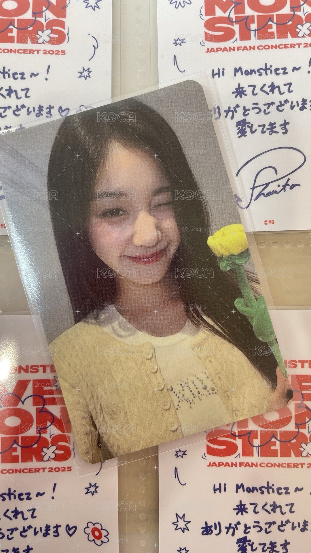 BM Pharita 拿花塔