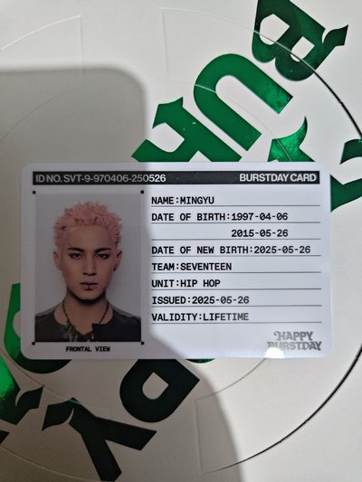 正五 全專 奎 Mingyu