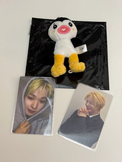 🐧日巡隨機娃+心願卡+帽踢卡