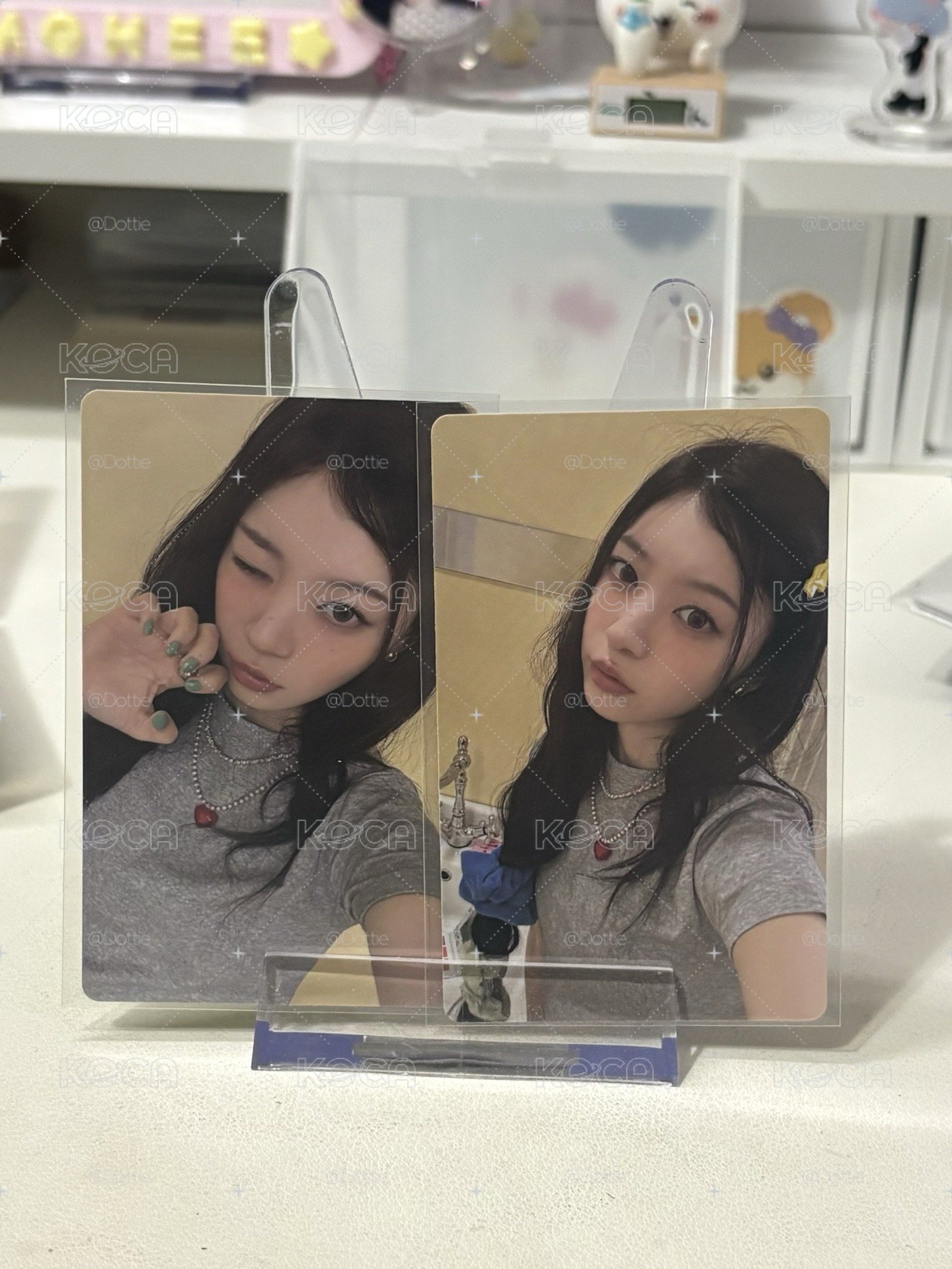 萌專卡