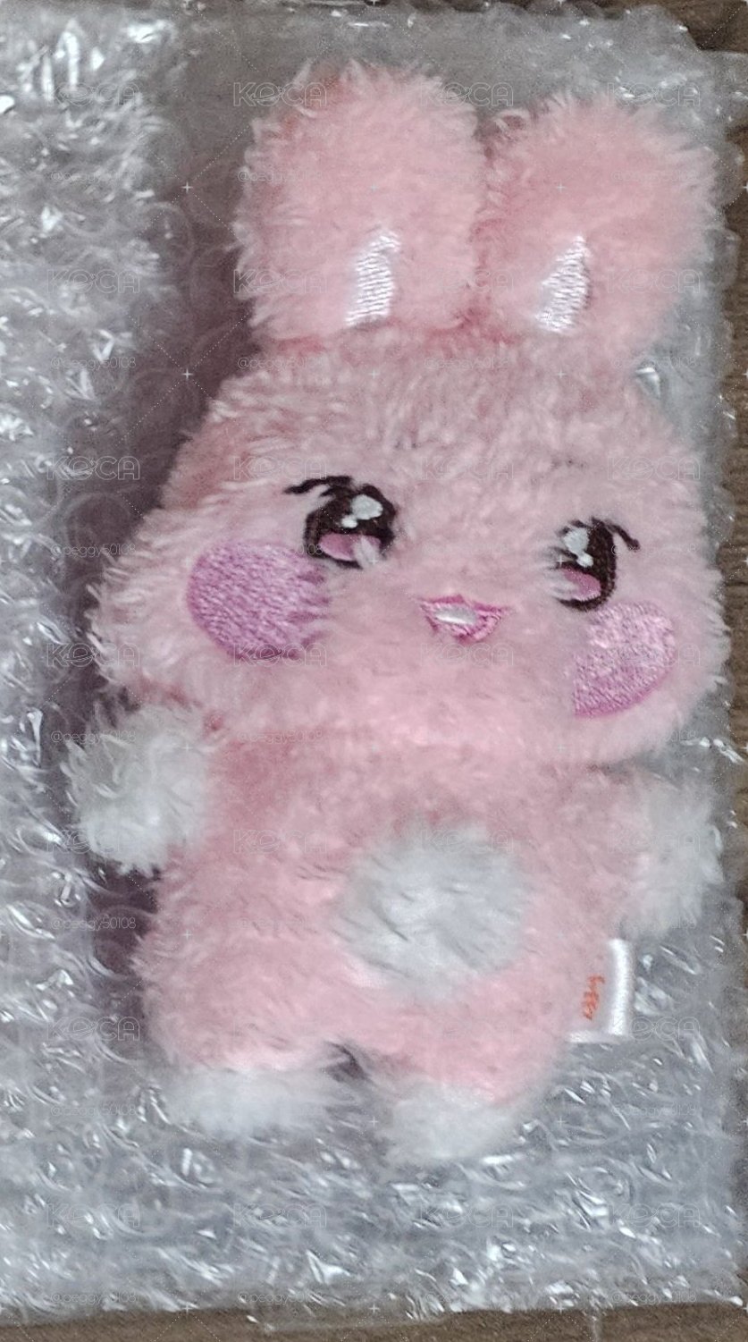 咚星娃盤