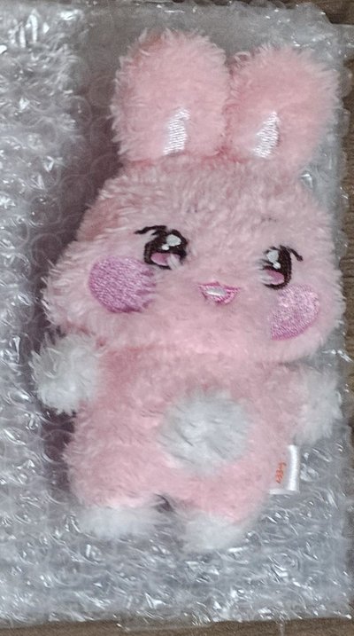 咚星娃盤