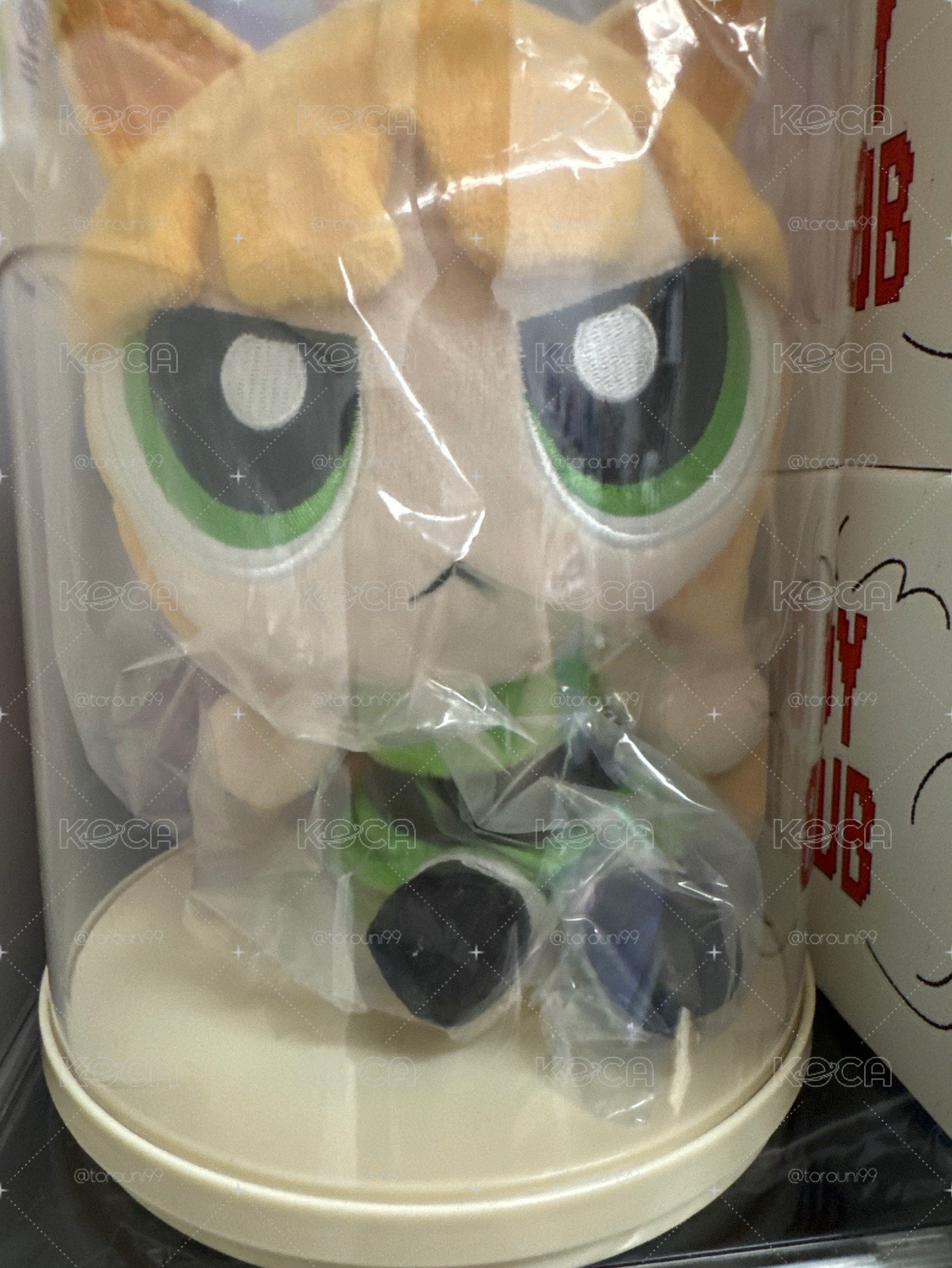 貓娃 全新