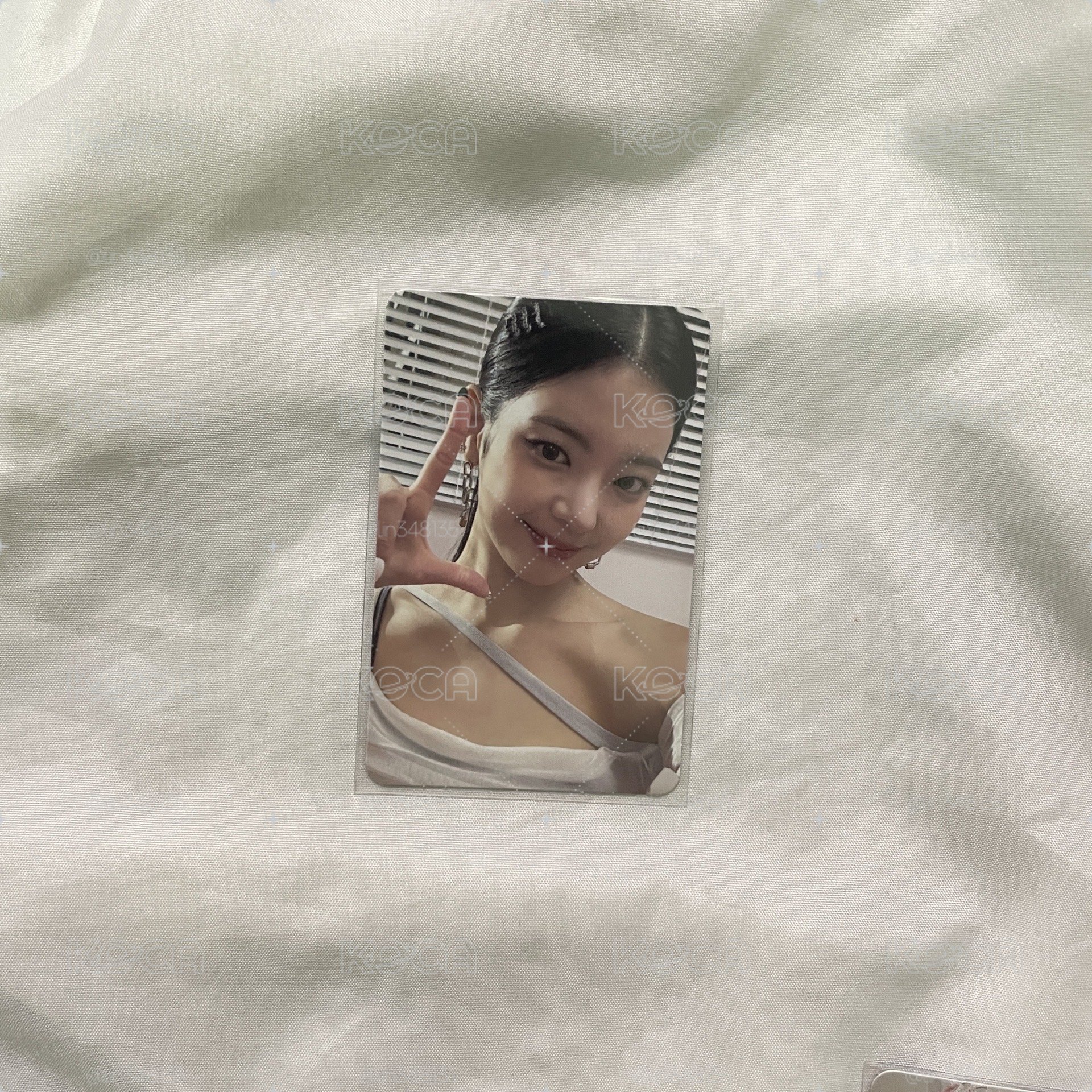 LIA CHESHIRE 特別版 專卡