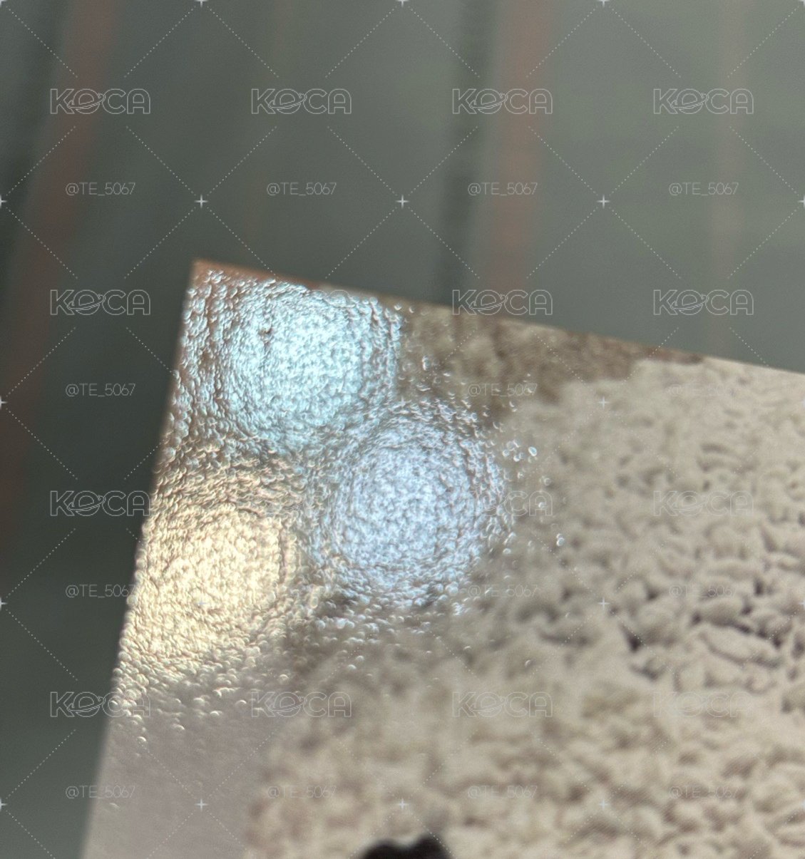 25‘巡迴 入場卡 / 場限卡 洛杉磯zone