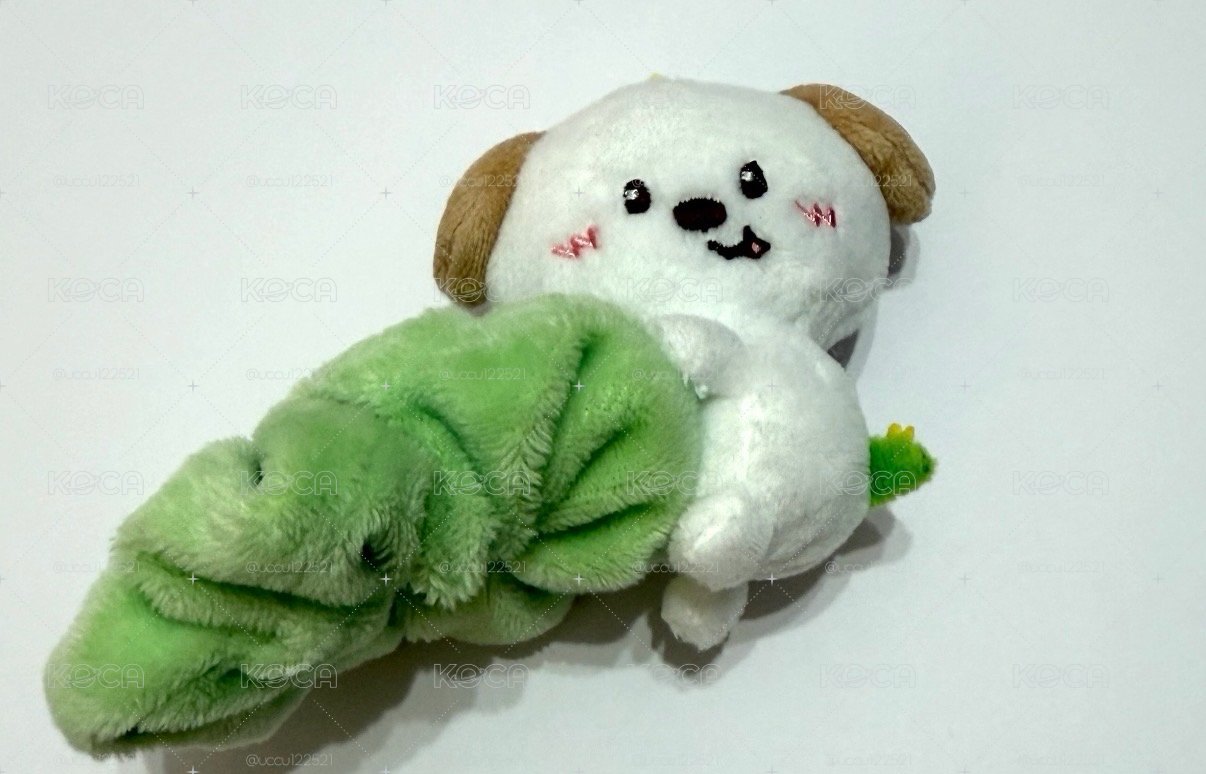 狗龍髮圈