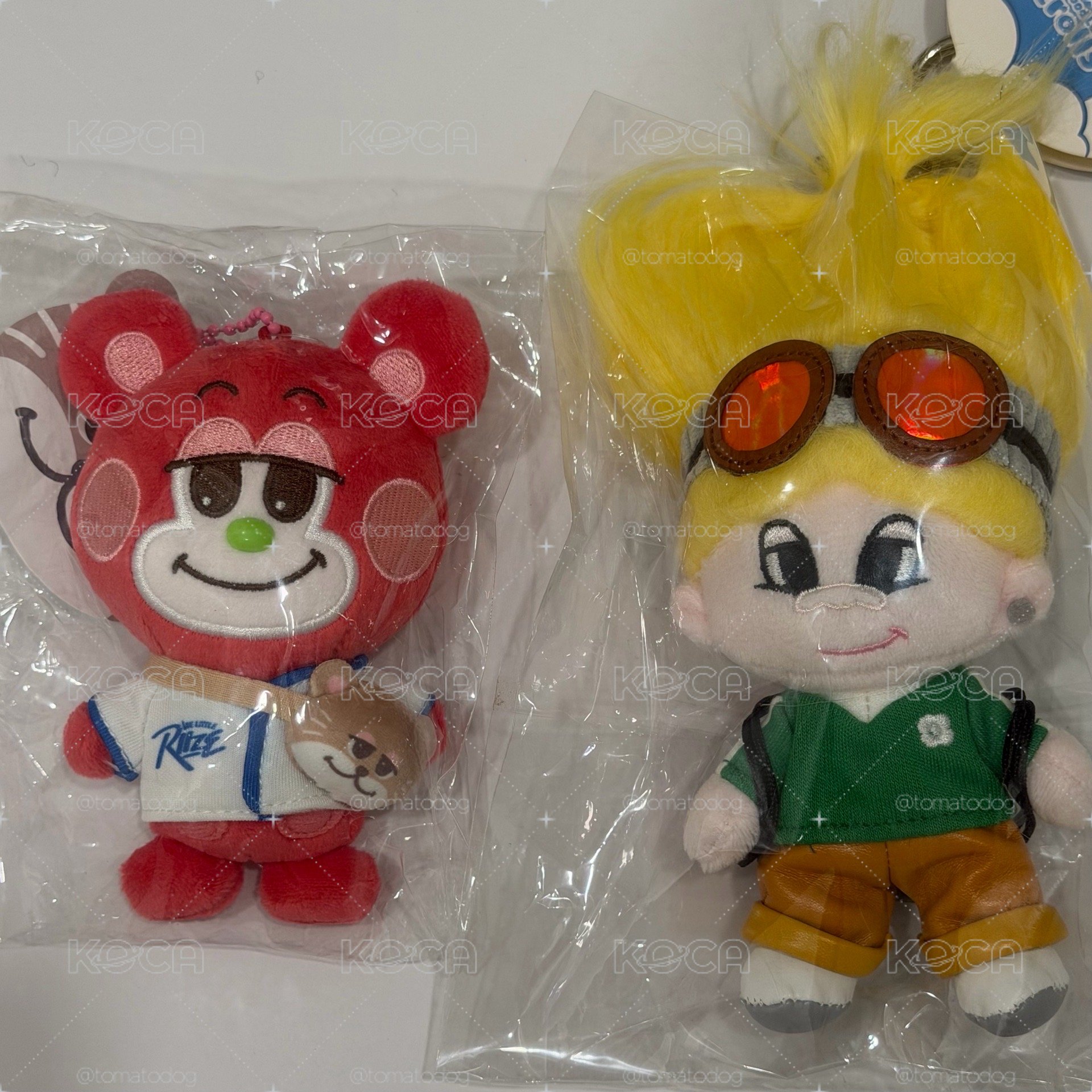 RIIZE Park 10cm 栗子扣 吊娃 磁吸