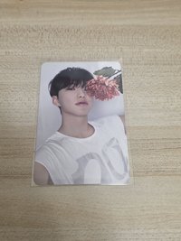 親愛盤1