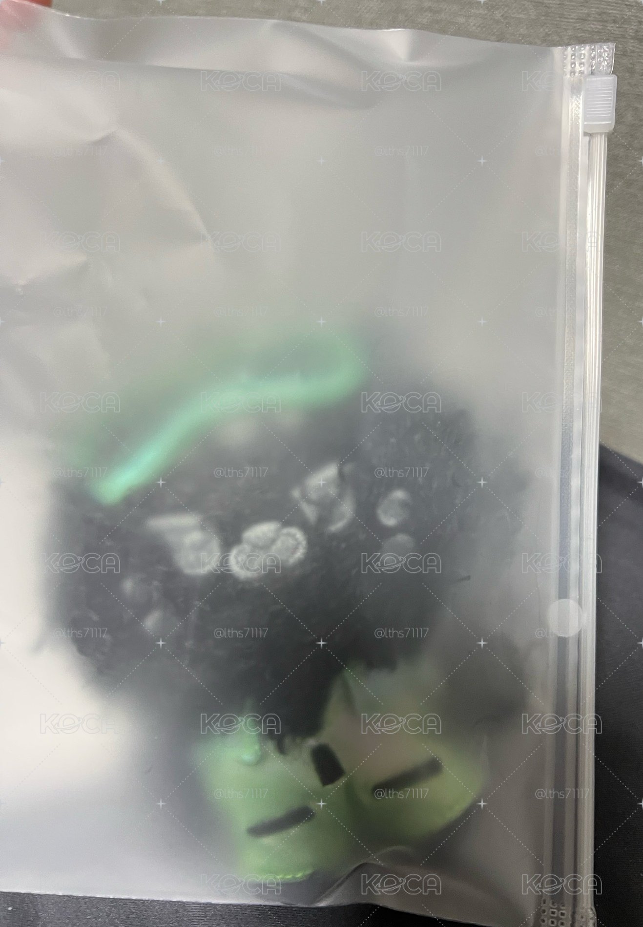 FIM'S SECRET LAB KEYRING 爆炸采 金阿奇