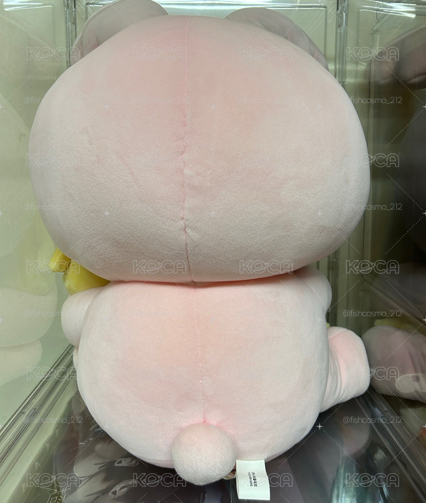 淨漢 兔鼠