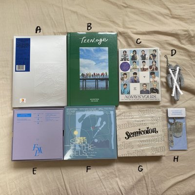 Seventeen周邊空專（賣場還有其他小卡！）