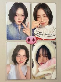 ↘️兔子留
