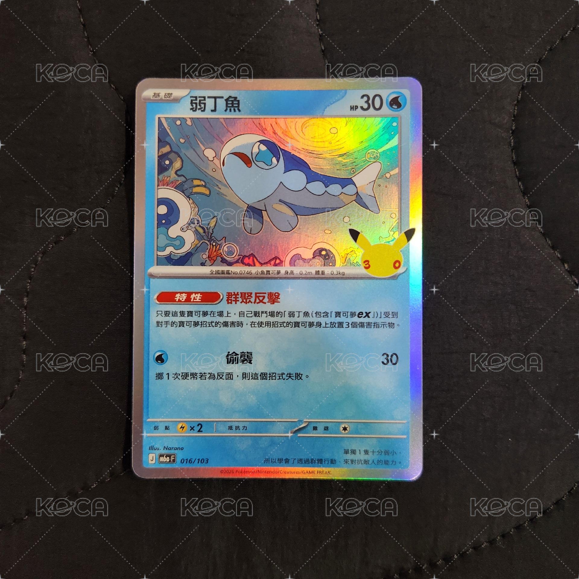 016弱丁魚
