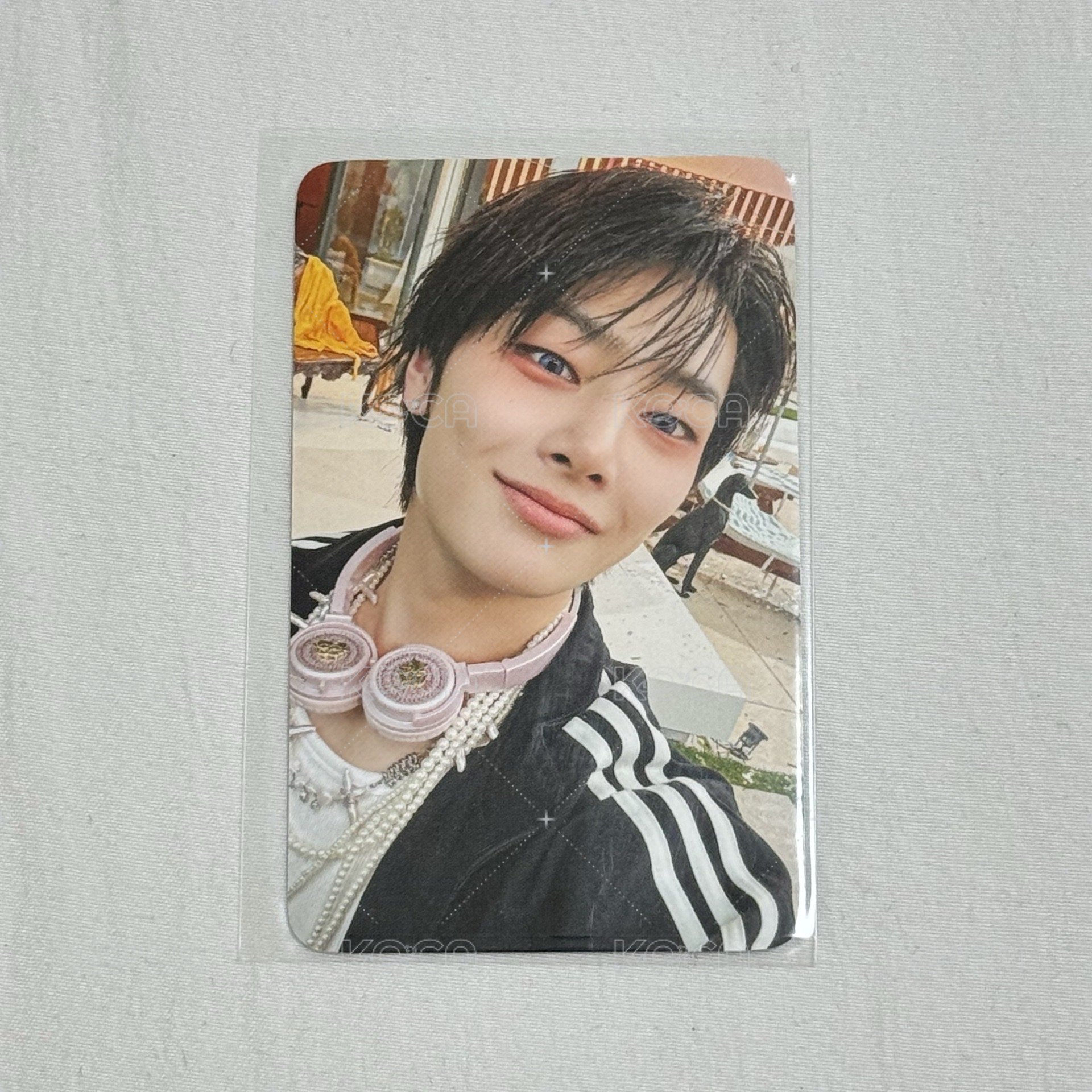 寅 特典 FANS